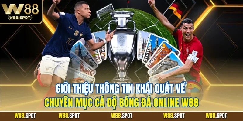 Giới thiệu thông tin khái quát về chuyên mục cá độ bóng đá online W88