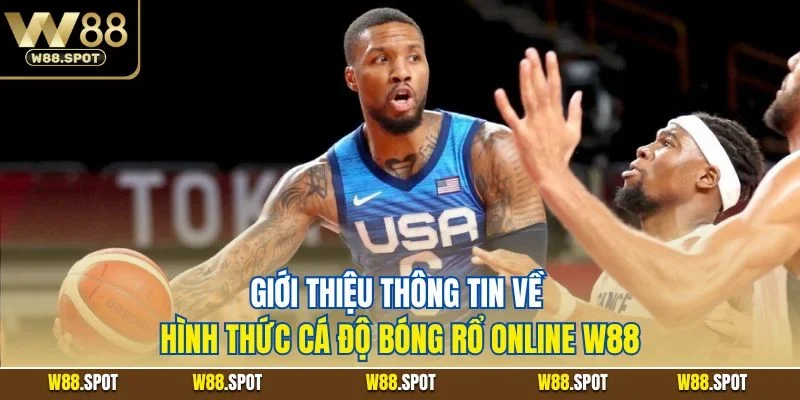 Giới thiệu thông tin về hình thức cá độ bóng rổ online W88
