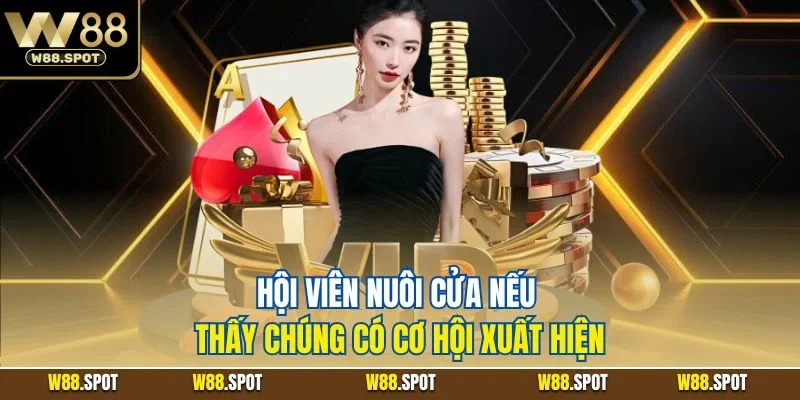 Hội viên nuôi cửa nếu thấy chúng có cơ hội xuất hiện